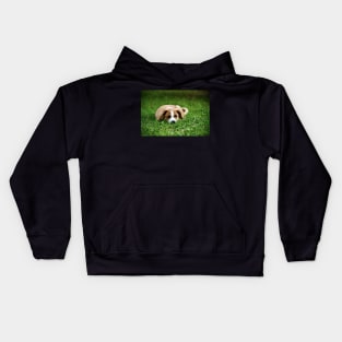 Welpen / Swiss Artwork Photography Kids Hoodie